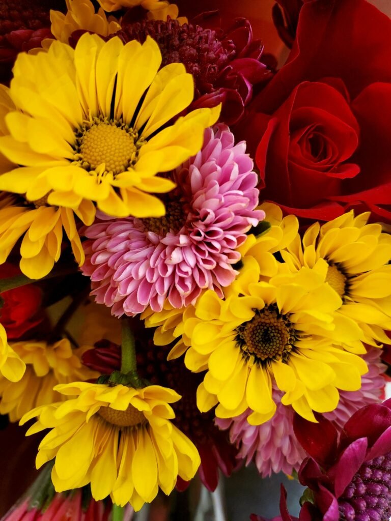 Flores de tons vivos