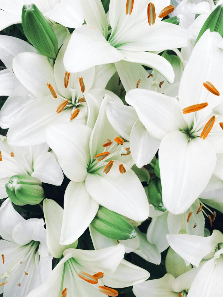 Flores Brancas